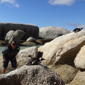 Boulder Beach- Penguin Beach