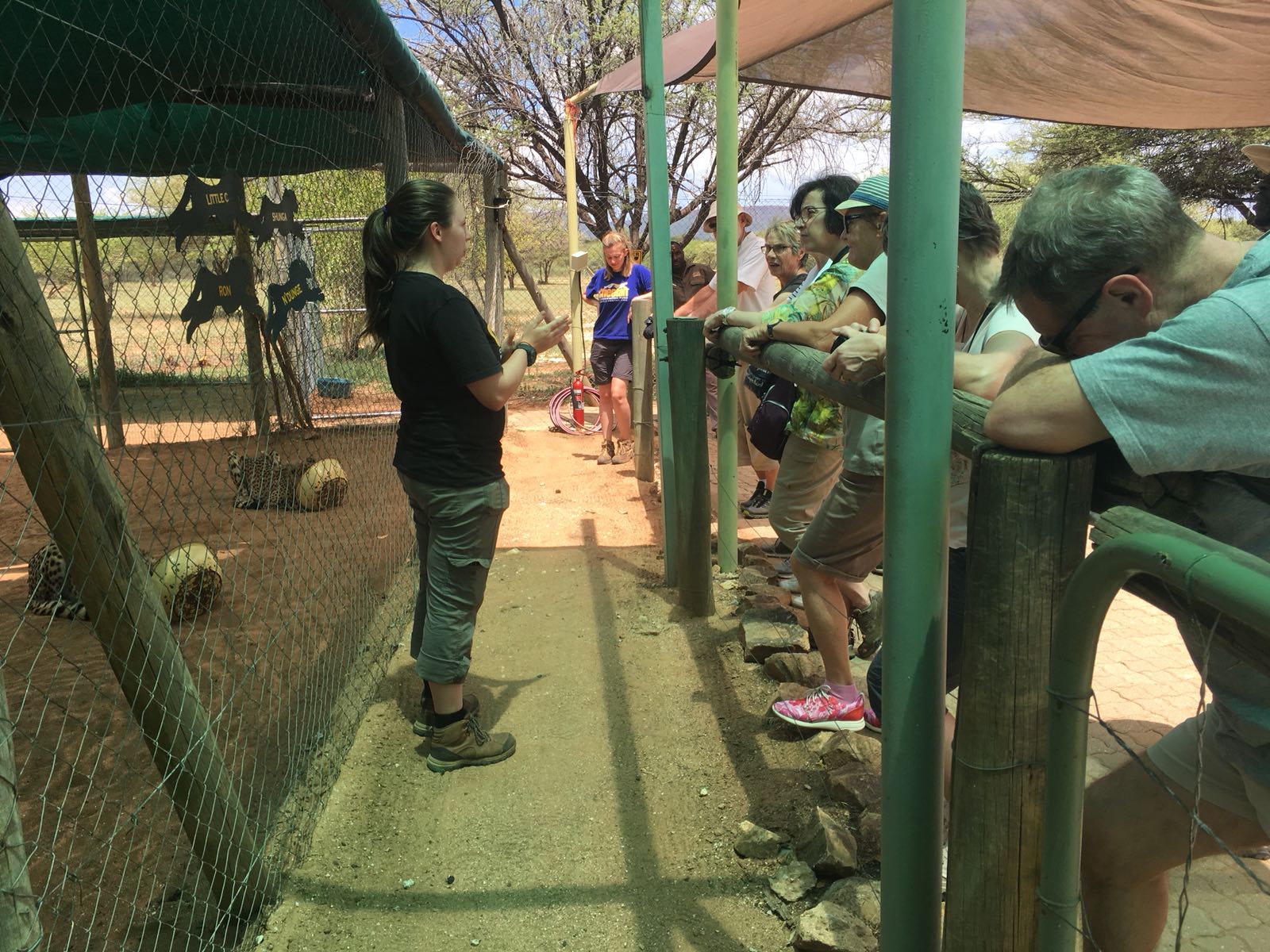 Intern speaking to guests at cheetah center